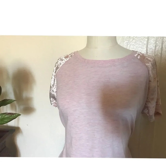Light pink velvet short sleeves top - Picture 4 of 6